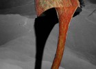 IMG 1791  2012